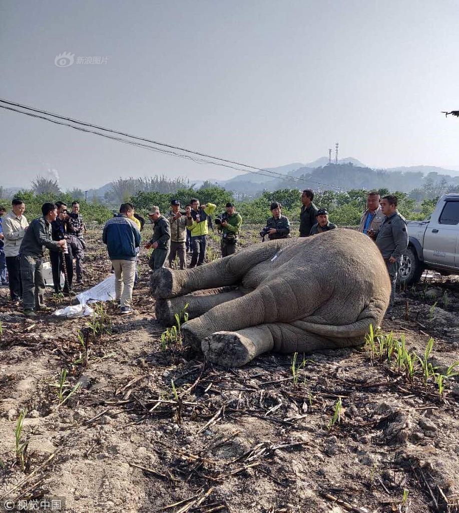 免费中文字幕大全高压监狱2高压法版必一运动笔仙撞碟仙恐怖片最近更新(图2)